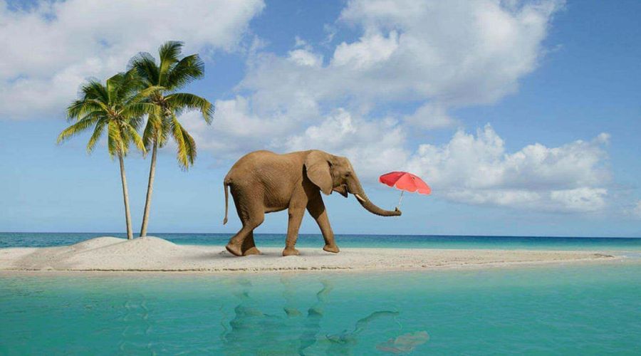 Havelock Island