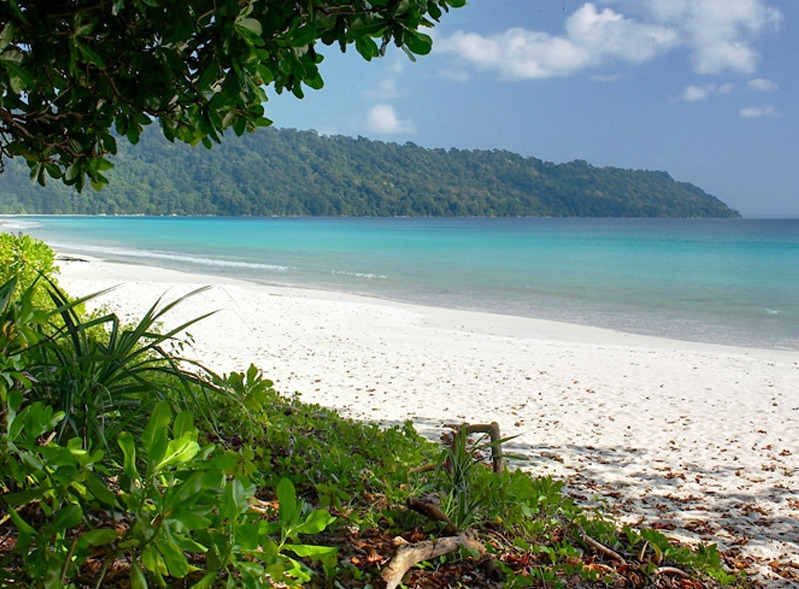 Group package Andaman