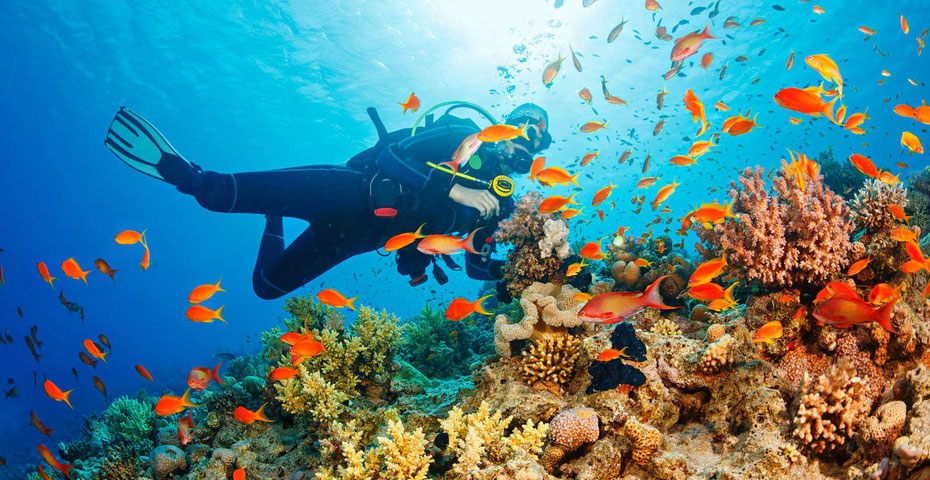 Scuba diving