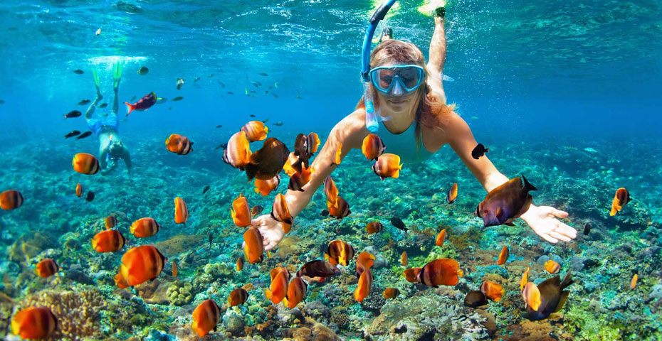 Snorkeling